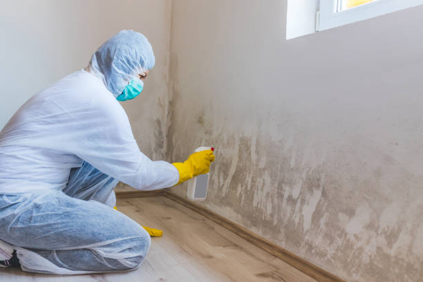 Licensed Bathroom Mold Removal service in Suffolk, VA - WQB Mold Removal