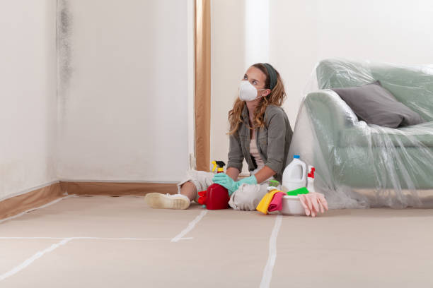 Reliable Bathroom Mold Removal contractor in Suffolk, VA by WQB Mold Removal